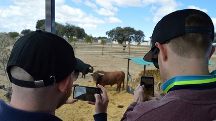 Exclusive stag do experiences Madrid