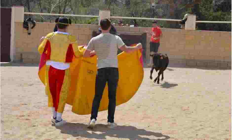 Running of the bulls Madrid